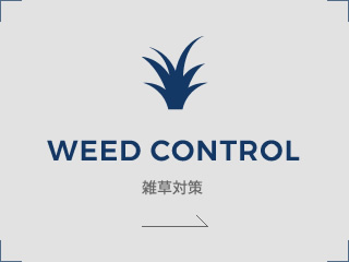 雑草対策